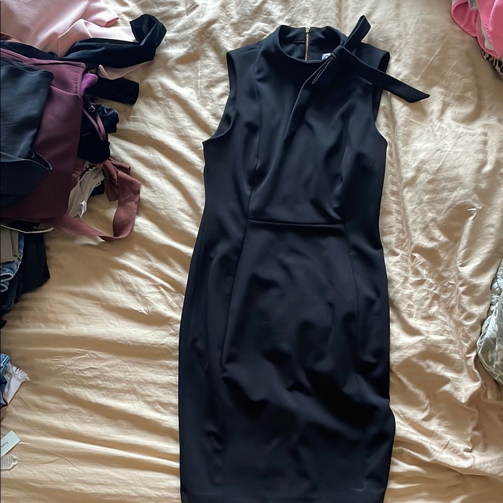 Elegant Black Sleeveless Dress